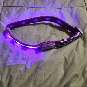 Blazin LED Dog Collar Purple Rechargeable High Visibility Light Up Safety Medium